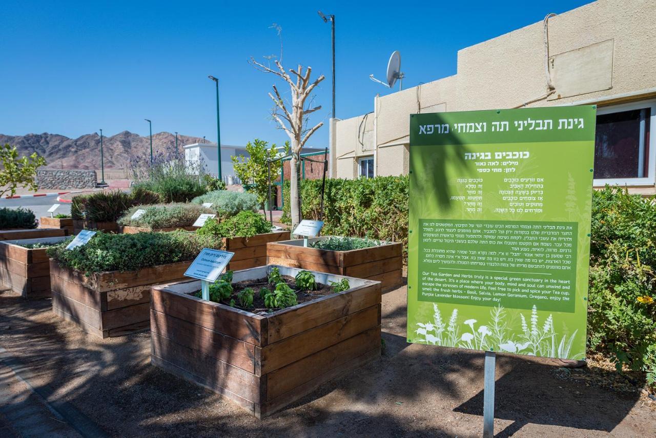 Eilot Kibbutz Country Lodging Eilat Dış mekan fotoğraf