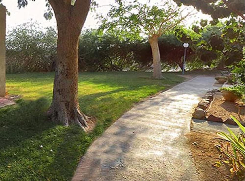 Eilot Kibbutz Country Lodging Eilat Dış mekan fotoğraf