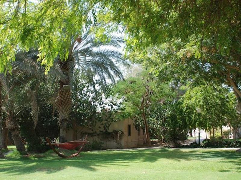 Eilot Kibbutz Country Lodging Eilat Dış mekan fotoğraf
